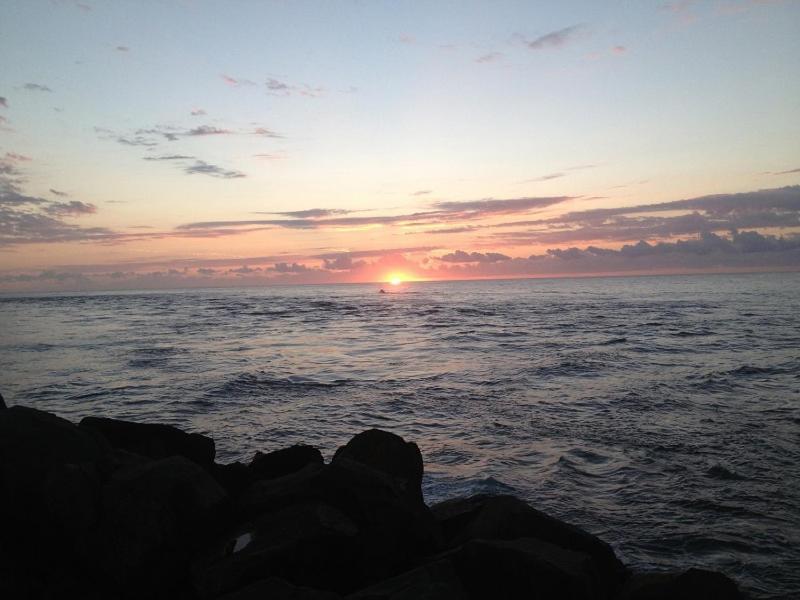 Sunrise Luxury Apartments Forster Bagian luar foto